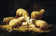 unknow artist Sheep 062 oil painting reproduction